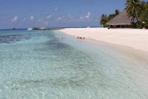 Alimathà Maldives Felidhoo Maldive 27