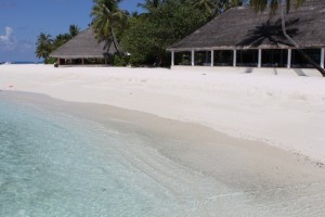 Alimathà Maldives Felidhoo Maldive 31
