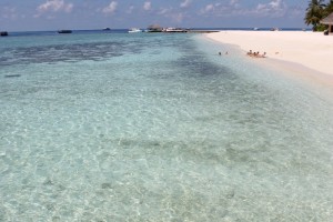 Alimathà Maldives Felidhoo Maldive 33