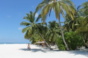 Alimathà Maldives Felidhoo Maldive 35