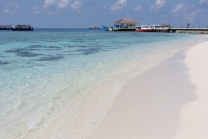 Alimathà Maldives Felidhoo Maldive 36