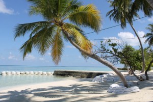 Alimathà Maldives Felidhoo Maldive 37