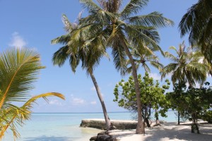 Alimathà Maldives Felidhoo Maldive 39
