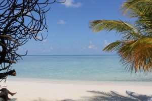 Alimathà Maldives Felidhoo Maldive 40