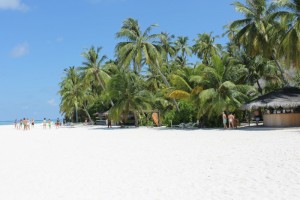 Alimathà Maldives Felidhoo Maldive 41