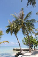 Alimathà Maldives Felidhoo Maldive 43