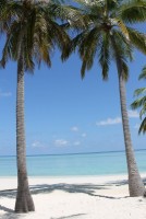 Alimathà Maldives Felidhoo Maldive 44