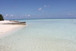 Alimathà Maldives Felidhoo Maldive 46