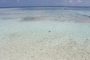 Alimathà Maldives Felidhoo Maldive 47