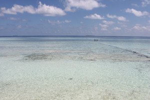 Alimathà Maldives Felidhoo Maldive 48