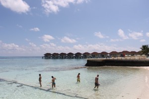 Alimathà Maldives Felidhoo Maldive 49