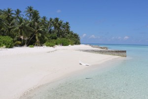 Alimathà Maldives Felidhoo Maldive 52