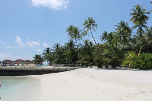 Alimathà Maldives Felidhoo Maldive 56