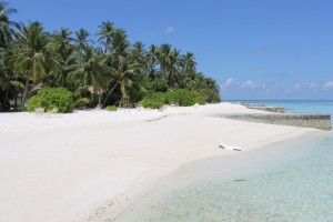 Alimathà Maldives Felidhoo Maldive 59