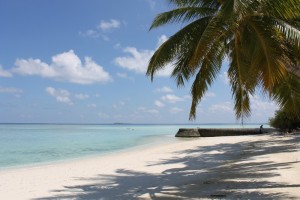 Alimathà Maldives Felidhoo Maldive 64