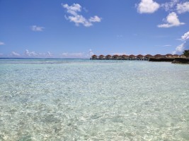 Alimathà Maldives Felidhoo Maldive 66