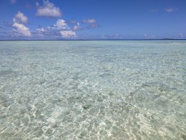 Alimathà Maldives Felidhoo Maldive 67