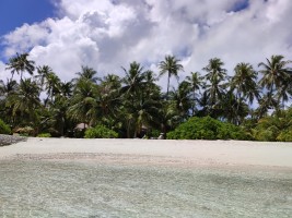Alimathà Maldives Felidhoo Maldive 72
