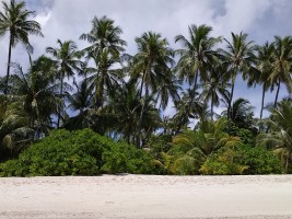 Alimathà Maldives Felidhoo Maldive 81