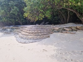 Reethi Beach Resort Baa Maldive 9