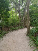 Reethi Beach Resort Baa Maldive 3