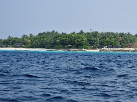 Reethi Beach Resort Baa Maldive 4
