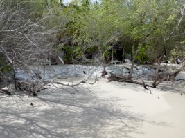 Thulhagiri Island Resort Male Nord Maldive 8