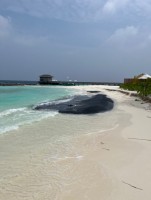 Baglioni Resort Maldives Dhaalu Maldive 1