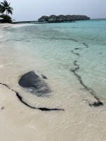 Baglioni Resort Maldives Dhaalu Maldive 7