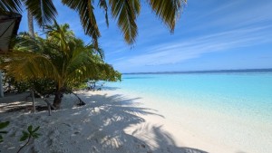 Safari Island Resort Ari Nord Maldive 1