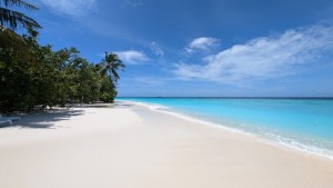 Safari Island Resort Ari Nord Maldive 12