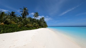 Safari Island Resort Ari Nord Maldive 13