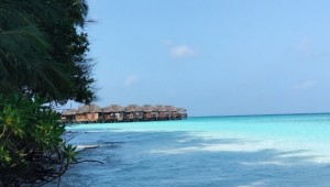 Fihalhohi Maldives Male Sud Maldive 3