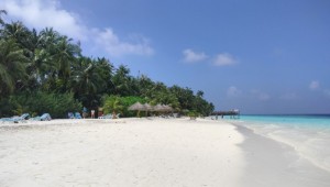 Fihalhohi Maldives Male Sud Maldive 4