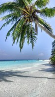 Fihalhohi Maldives Male Sud Maldive 5