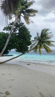 Fihalhohi Maldives Male Sud Maldive 7