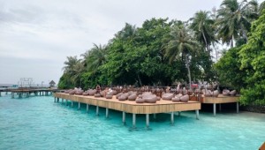 Fihalhohi Maldives Male Sud Maldive 10