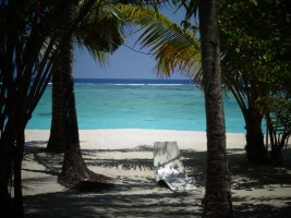 Alimathà Maldives Felidhoo Maldive 1