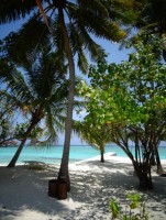 Alimathà Maldives Felidhoo Maldive 4