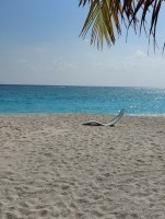 Alimathà Maldives Felidhoo Maldive 5