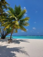 Alimathà Maldives Felidhoo Maldive 6