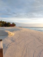 Alimathà Maldives Felidhoo Maldive 8