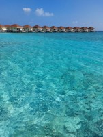 Alimathà Maldives Felidhoo Maldive 10