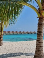 Alimathà Maldives Felidhoo Maldive 11