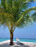 Alimathà Maldives Felidhoo Maldive 13