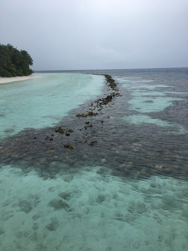 Frangiflutti parallelo a riva in frammenti di corallo bassa marea, isole Maldive
