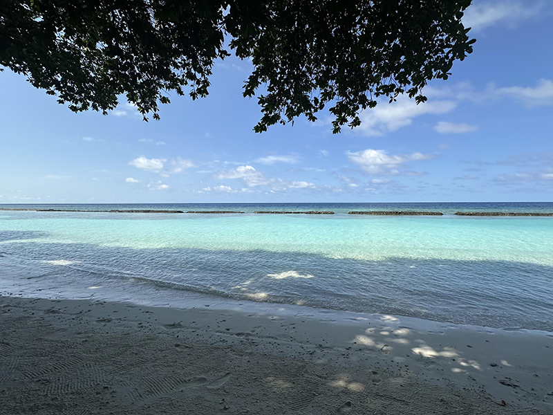 Frangiflutti al largo parallelo a riva, isole Maldive