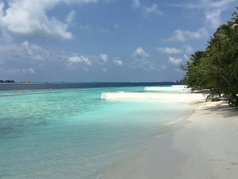 Muretto perpendicolare a riva a forma di Y, isole Maldive