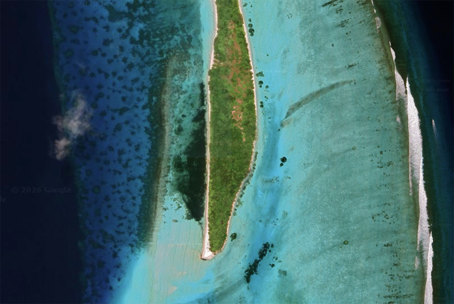 Fenerogame seagrass, isole Maldive